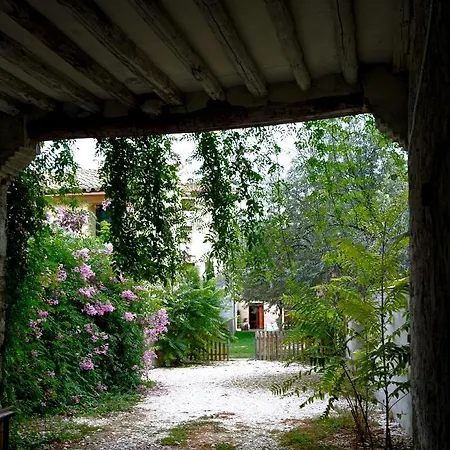 Alicia 4* Villafranca de Ebro