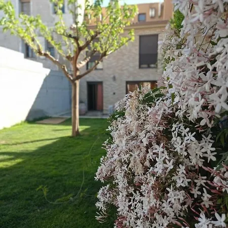 Pensionat Alicia Villafranca de Ebro