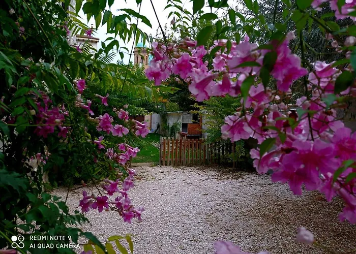 Guest house Alicia 4*