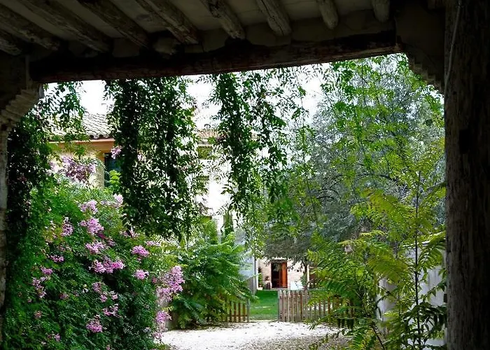 Alicia 4* Villafranca de Ebro