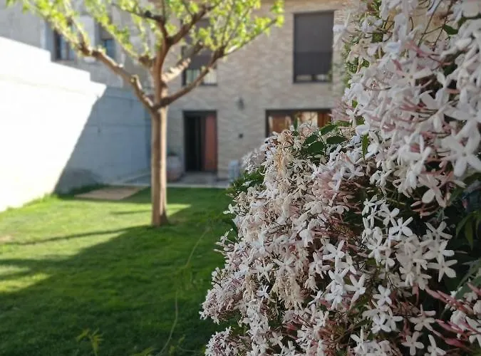 Guest house Alicia Villafranca de Ebro