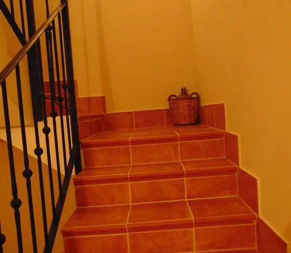 Alicia Guest house 4*