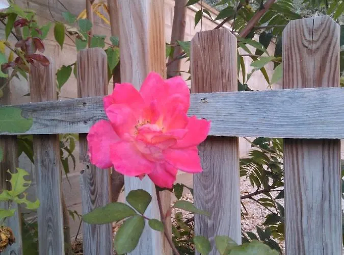 Guest house Alicia Villafranca de Ebro