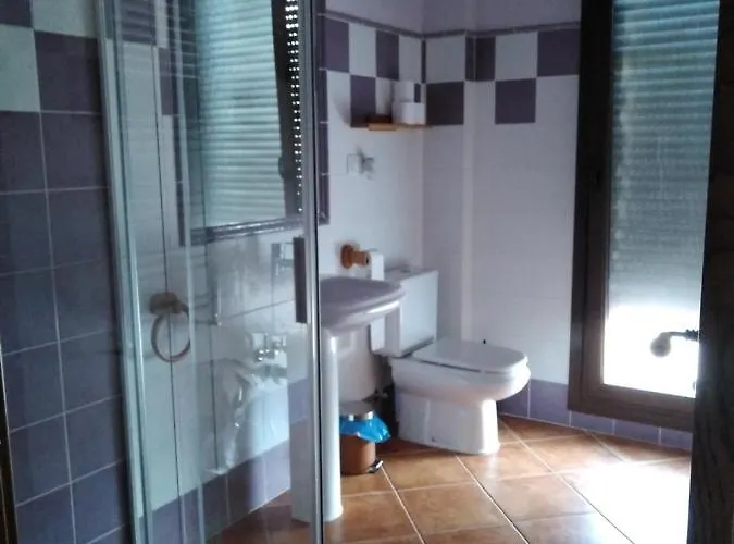 Alicia Villafranca de Ebro